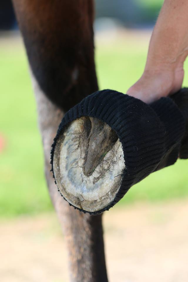 Cavallo Comfort Sleeves for Hoof Boots (pairs)